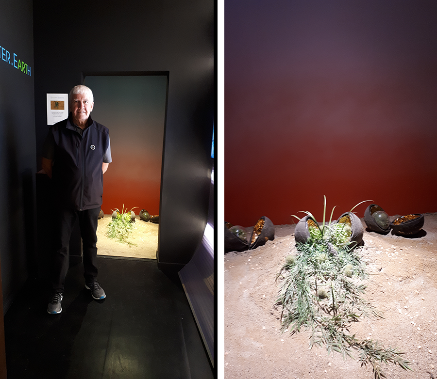 earthseeds installation Venice Biennale 2017